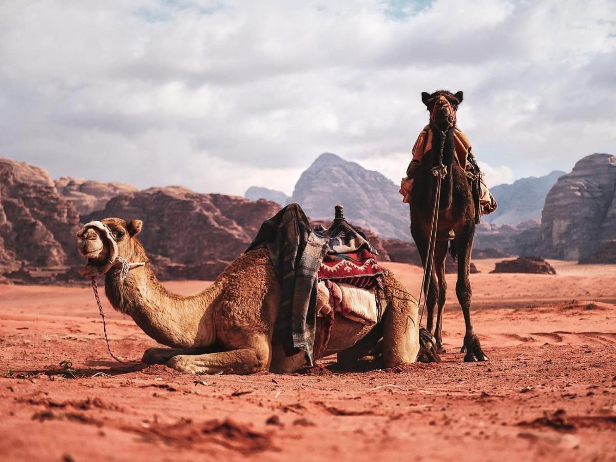 Wadi Rum Dew 外观 照片
